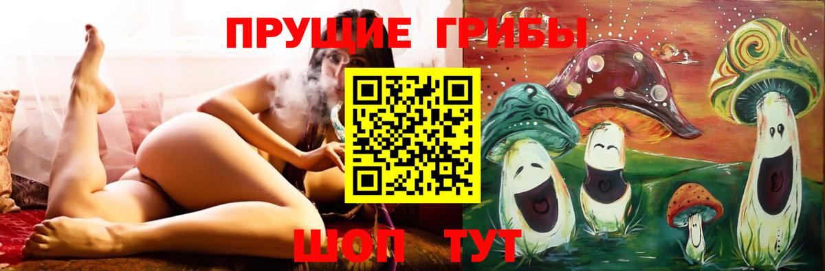 Галлюциногенные грибы Psilocybe Рузаевка